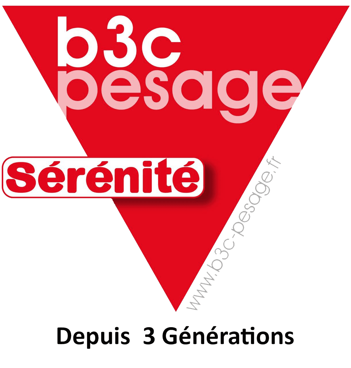 Logo - B3C